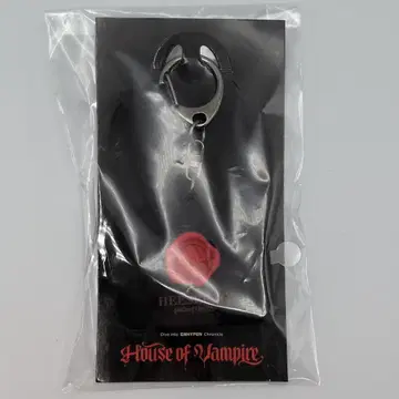 ENHYPEN HEESEUNG VOICE KEY HOLDER