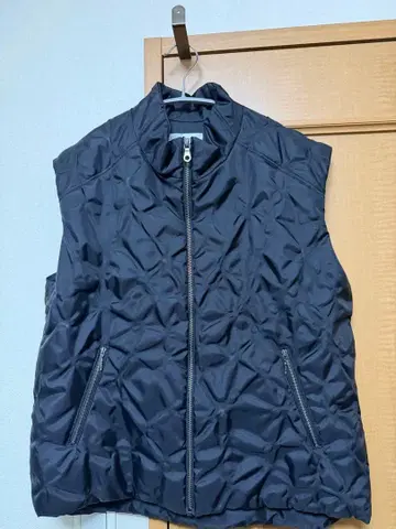 ryaw Leaf vein VEST 23FW 스다 마사키 착용