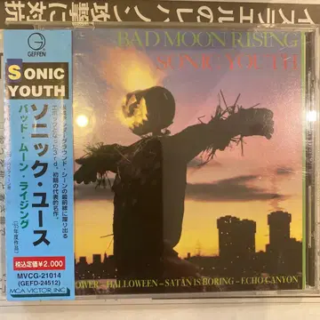 새상품급 소닉 유스 CD 배드 문 라이징 일본 국내반