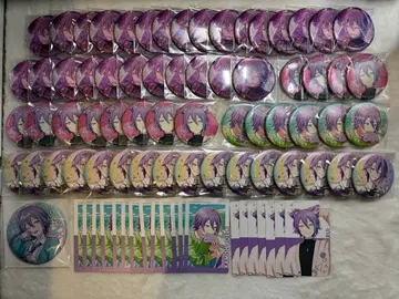 프로세카 카미시로 루이 묶음 판매