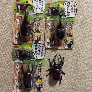 DAISO 헤라클레스 장수풍뎅이 4개 세트