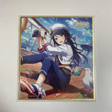 프로세카 호시노 이치카 색지 34b