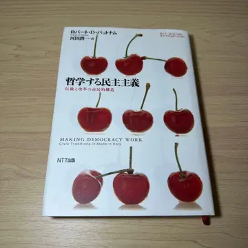 철학하는 민주주의: 전통과 개혁의 시민적 구조