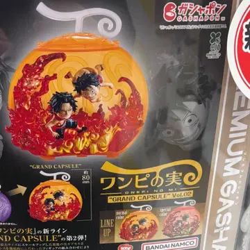 원피스 원피스의 열매 GRAND CAPSULE vol.02 (2종 세트)