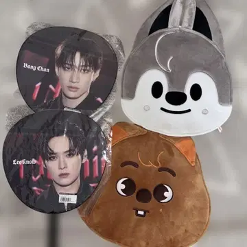 straykids skzoo 방찬 리노 부채