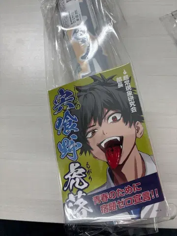 선거풍 천 포스터 & 엽서 세트 팬텀 버스터즈