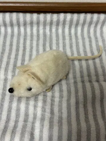 steiff 슈타이프 쥐 fiep 마우스 빈티지