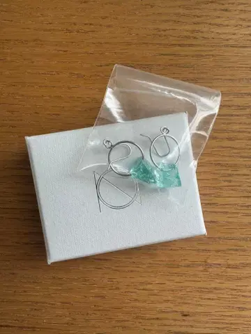 Mrs.GREENAPPLE 오오모리 모토키 액세서리 fjord