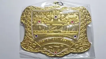 RIZIN 라이진 제일복권 D상 챔피온 벨트 메탈 참 페더급