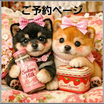 초레어 시바견, 치와와, 포메라니안, 퍼그, 말티즈, 시츄 패널 원단