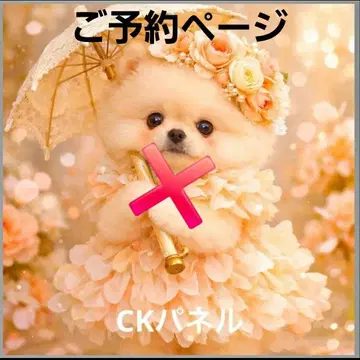 초레어 포메라니안, 시바견, 치와와, 말티즈, 시츄, 퍼그 패널 원단