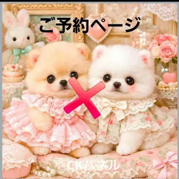 초레어 포메라니안, 퍼그, 시바견, 시즈, 말티즈, 치와와 패널 원단