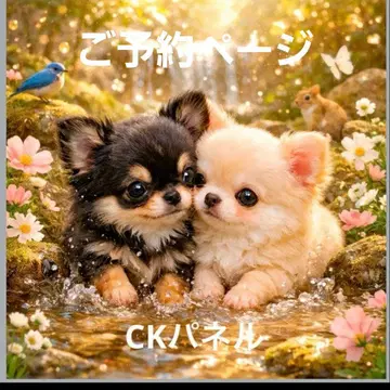 초레어 치와와, 말티즈, 퍼그, 시바견, 시츄, 포메라니안 패널 원단