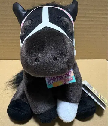 스테이 골드 홍콩 바즈 M 사이즈 아이돌 호스