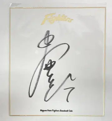 일본햄 파이터즈 나카무라 유타 친필 사인 색지