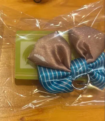 명탐정 코난 하이웨이의 타락천사 참 포함 네임 배지 하기와라 켄지