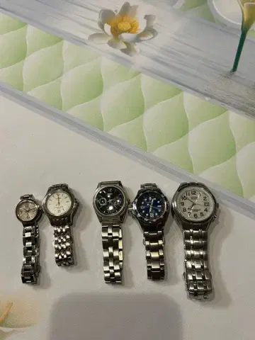 CITIZEN SELKO 손목시계 스테인리스 5개 세트