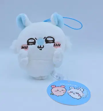 퍼레이드 헌책방 모몽가 모몽가