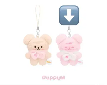 스키즈 팬미팅 퍼핌 puppyM stray kids