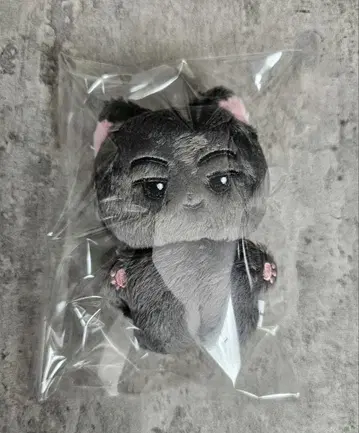 ENHYPEN 성훈 봉제 인형 인형 마스터