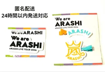 아라시 We are ARASHI 굿즈 헤어 클립 마그넷 2개 세트