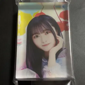 히나타자카46 히나코레 회장 복권 A상 아크릴 블록 가타야마 사키