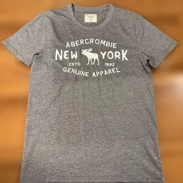 Abercrombie & Fitch 그레이 T셔츠 XS