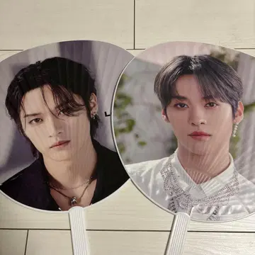 Stray Kids 리노 부채 묶음 판매