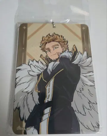 나의 히어로 아카데미아 십걸 아크릴 카드 홀더 호크스