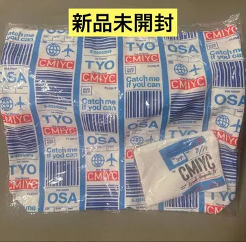 Catch me if you can 이와모토 테루 2024 토트백