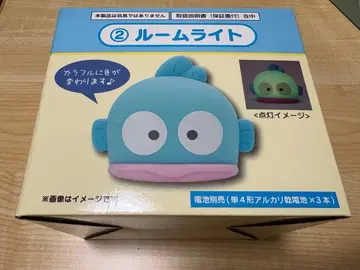 한교동 룸 라이트