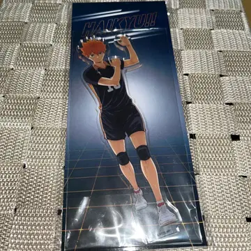 하이큐!! 히나타 쇼요 아크릴 스탠드