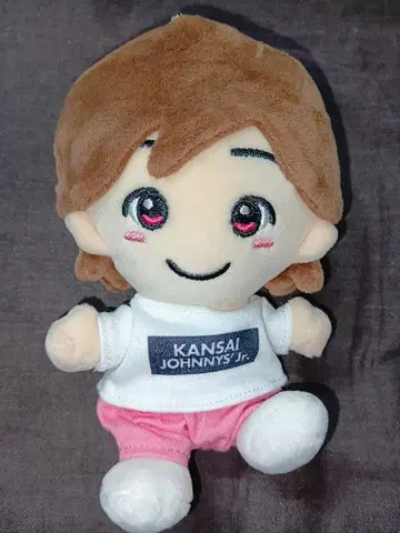 [ 새상품급 ] 나니와단시 미치에다 슌스케 치비누이