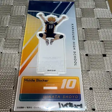 하이큐!! 히나타 쇼요 아크릴 스탠드