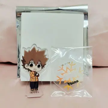 사와다 츠나요시 가정교사 히트맨 REBORN! 니텐고 아크릴 스탠드 JF