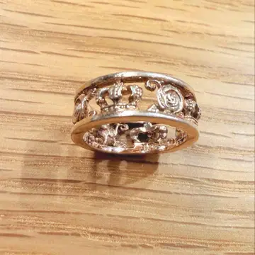 저스틴 데이비스 반지