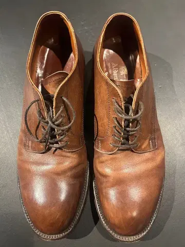 ALDEN ANATOMICA 별주 8.5D 53793