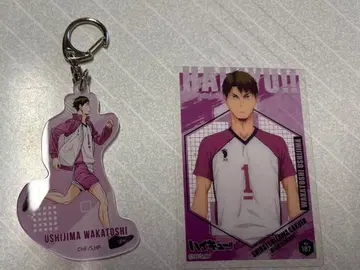 우시지마 와카토시 아크릴 키링 & 카드 세트