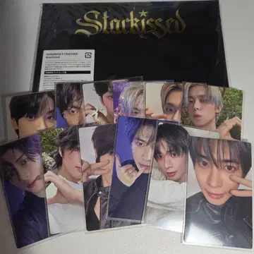 txt CD starkissed 포토 카드반