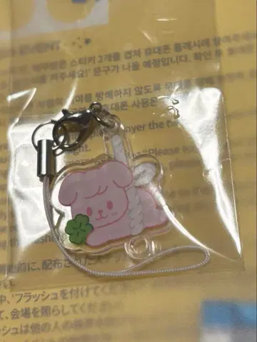 straykids stayzone 참 퍼핌 승민