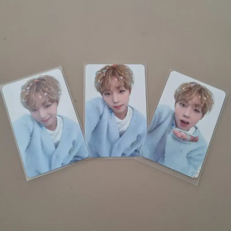 급처) 박지훈 생일 포카 3종 일괄 양도 박지훈왕사남약한영웅메이소심이