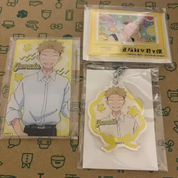 정반대인 너와 나 야마다 아크릴계 3개 세트