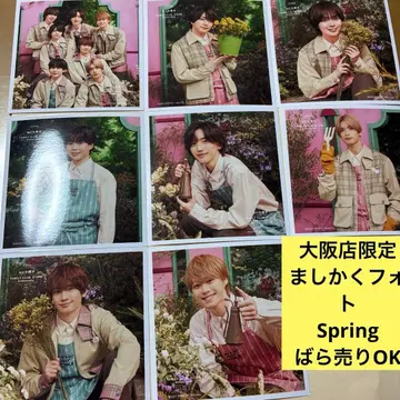 오사카점 한정판 나니와단시 정사각형 사진 Spring 8장 세트