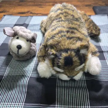 고양이와 양 봉제 인형 세트