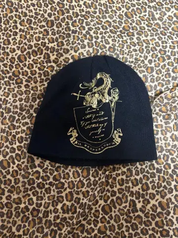 시크 스타일 헤이세이 archive 비니