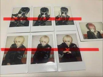 자아자아 폴라로이드 영야 춘아 아안