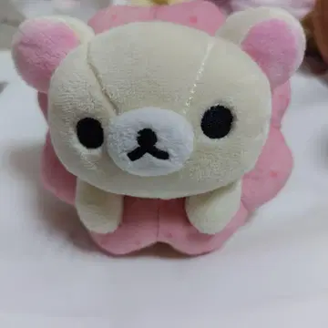 4/12까지 한정판 가격 인하 코리락쿠마 세트