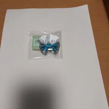 명탐정 코난 참 포함 네임 배지 컬렉션 양세라(세라 마스미)