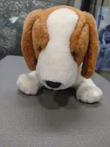 강아지 봉제 인형 브라운과 화이트