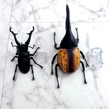 제일복권 곤충 헤라클레스 장수풍뎅이 기라파 넓적사슴벌레 피규어